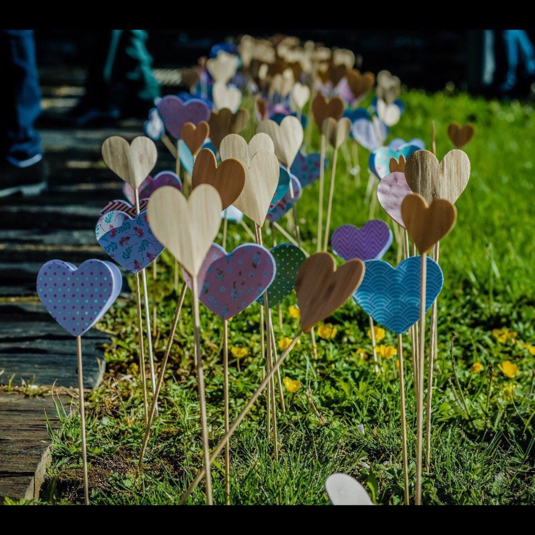 Lot Pic papier épais coeur à planter - Image 10