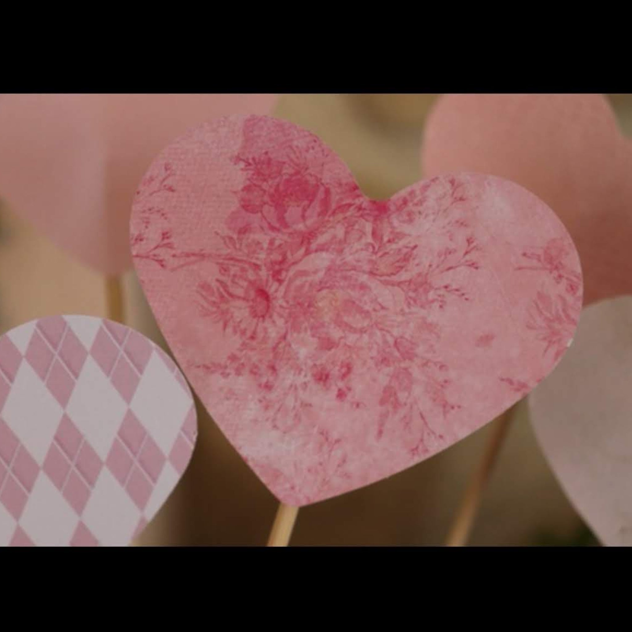 Lot Pic papier épais coeur à planter - Image 7